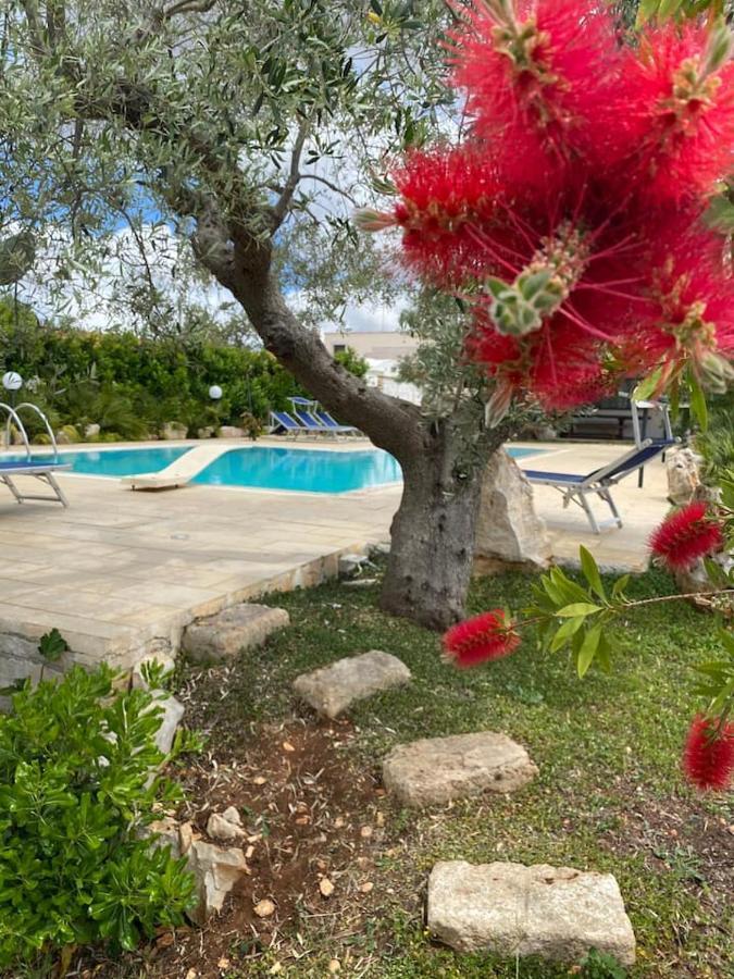 Pugliaholidayplus - Villa Cassano 滨海波利尼亚诺 外观 照片